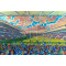 Bristol Bears Rugby Union - Ashton Gate Stadium Art Slate Presentation